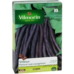 Vilmorin haricot velour gousse violette sachet de graines