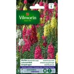 Vilmorin muflier grand loup vari�