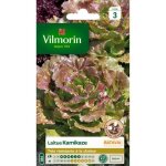 Vilmorin sachet graines de laitue batavia kamikaze feuilles rouges