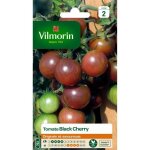 Vilmorin tomate black cherry sachet de graines