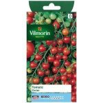 Vilmorin tomate cerise sachet de graines