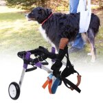 Fauteuil roulant pour animaux - vvikizy - double roue - alliage daluminium - violet - xs Fauteuil roulant pour animaux - vvikizy - double roue - alliage daluminium - violet - xs