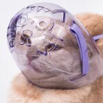 Vvikizy muselire transparente pour chat muselire transparente respirante pour chat casque  capuche ...