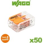 Pot de 50 bornes de connexion automatique 2 entr�es s221