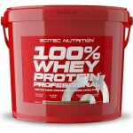 Whey concentr�e scitec nutrition - 100% whey protein professional - chocolat cookies & cream 5000g