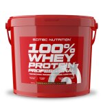 100% whey protein professional (5kg) choco - noisette