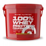 Whey concentr�e scitec nutrition - 100% whey protein professional - lemon cheesecake 5000g