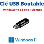 Logiciels - microsoft - windows 11 famille - 64 bits - cl usb - licence  vie