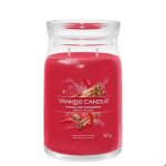 Bougie parfume - yankee candle - grande bougie en pot - parfum sucrs & pics - cire de soja - 567 ...