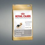 Croquettes complètes pour yorkshire terrier junior - royal canin - 1. 5 kg - adaptées aux besoins du ... Croquettes complètes pour yorkshire terrier junior - royal canin - 1. 5 kg - adaptées aux besoins du ...
