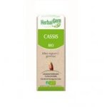Cassis bourgeon bio - flacon 15 ml herbalgem Cassis bourgeon bio - flacon 15 ml herbalgem