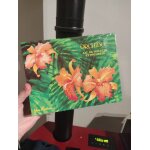 Coffret parfum eau de toilette orchide yves rocher 100 ml + foulard