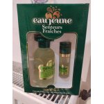 Coffret parfum eau de toilette senteurs fraches eau jeune 150 ml vaporisateur de sac 20 ml