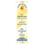 Fleurs de bach bourgeons de marronnier n 7 20 ml