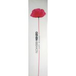 Flower by kenzo poppy bouquet eau de toilette 30ml