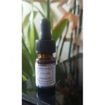 Garancia - l elixir du marabout - format d�couverte
