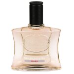 Pack de 4 - brut eau de toilette homme musk 100ml Pack de 4 - brut eau de toilette homme musk 100ml