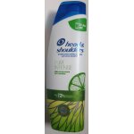 Shampooing antipelliculaire head&shoulders pure intense sebo - regulateur 250ml