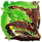 Alligator gant sachet de 2 kg de chez pierrot gourmand