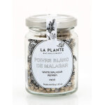 Poivre blanc de malabar bio pot de 50 grs Poivre blanc de malabar bio pot de 50 grs