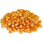 Maïs pour pop corn prêt à éclater 5 sacs de 3 kg Maïs pour pop corn prêt à éclater 5 sacs de 3 kg