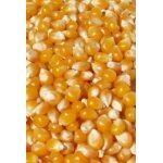 Maïs pour pop corn prêt à éclater sac de 25 kg Maïs pour pop corn prêt à éclater sac de 25 kg