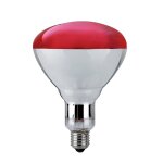 Ampoule infrarouge 250w