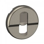 Enjoliveur pour prise simple rj45 c�liane - titane legrand