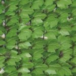 Haie artificielle feuilles de lierre + 12 attaches - 1, 00mx3m jet7garden Haie artificielle feuilles de lierre + 12 attaches - 1, 00mx3m jet7garden