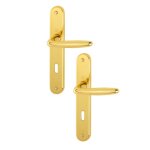 Poign�es sur plaques cl� l - laiton poli - roissy hoppe