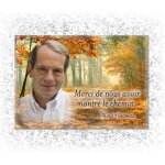 Sous bois automnal mat�riau plexiglass (garantie 5 ans) dimensions 24 x 18 cm socle avec syst�me de fixation ...