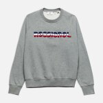 Accueil fashion sweat rossignol dossard grey Accueil fashion sweat rossignol dossard grey