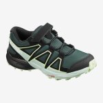Accueil summer chaussures salomon speedcross bungee k green gables