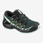 Accueil summer chaussures salomon xa pro 3d cswp j green gables / icy