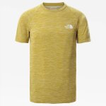 Accueil summer t - shirt the north face impendor matcha green