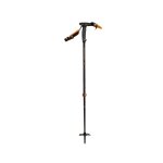 Accueil winter bâton black diamond carbon whippet Accueil winter bâton black diamond carbon whippet