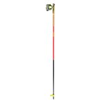 Accueil winter btons leki mezza race