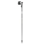 Accueil winter btons de ski leki carbon 14 lady 3d