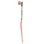 Accueil winter bâtons de ski leki wcr gs 3d Accueil winter bâtons de ski leki wcr gs 3d