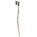 Accueil winter btons de ski leki worldcup lite gs 3d