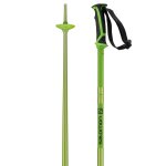 Accueil winter salomon batons arctic vert Accueil winter salomon batons arctic vert