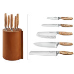 Bloc avec 5 couteaux de cuisine wsthof