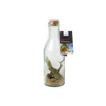 Carafe pour rhum arrang notes d'agrumes et de tonka quai sud