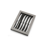 Coffret aimant de 6 couteaux  steak amefa gamme goliath