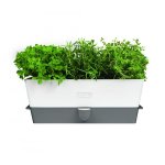 Conservateur pour les herbes fraches en pots cole and mason - pour 3 pots