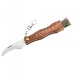 Couteau champignons herbertz 251411 en bois inox 11cm + brosse Couteau champignons herbertz 251411 en bois inox 11cm + brosse