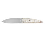 Couteau pour les huitres franais charles canon en coquilles d'huitres