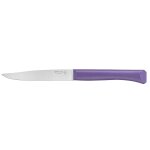Couteau de table opinel lame en inox manche en polymre violet