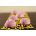 Moule pour faire des demi sphères de buyer elastomoule 20 ou 24 empreintes Moule pour faire des demi sphères de buyer elastomoule 20 ou 24 empreintes