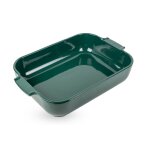 Plat � four rectangle vert for�t mod�le appolia peugeot
